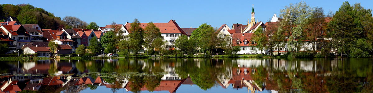 Stadt Bad Waldsee cover