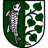 Immenstadt im Allgäu