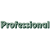 Gebäudereinigung Professional