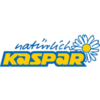 Walter Kaspar 