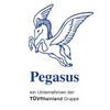 Pegasus