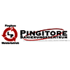 Leonardo Pingitore Pingitore Sanierungszentrum