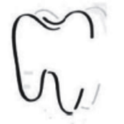 Dr. Markus und Dr. Peter Traub